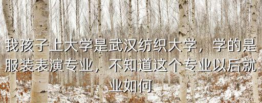 我孩子上大學是武漢紡織大學，學的是服裝表演專業，不知道這個專業以后就業如何