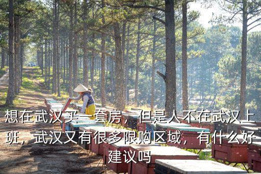 想在武漢買一套房，但是人不在武漢上班，武漢又有很多限購區域，有什么好建議嗎
