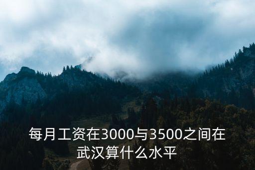 每月工資在3000與3500之間在武漢算什么水平