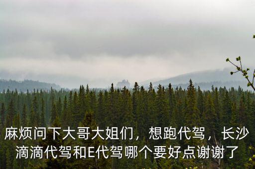 麻煩問下大哥大姐們，想跑代駕，長沙滴滴代駕和E代駕哪個(gè)要好點(diǎn)謝謝了