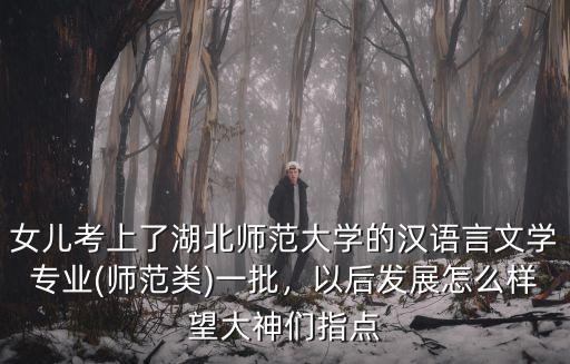 女兒考上了湖北師范大學(xué)的漢語言文學(xué)專業(yè)(師范類)一批，以后發(fā)展怎么樣望大神們指點