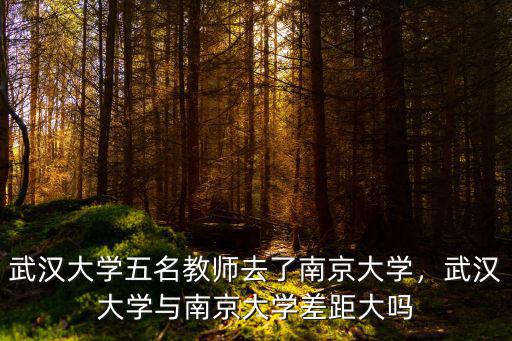 武漢大學徐可老師怎么樣,武漢大學在全國怎么樣
