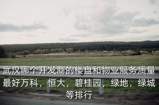 武漢哪個(gè)開(kāi)發(fā)商的樓盤(pán)和物業(yè)服務(wù)質(zhì)量最好萬(wàn)科，恒大，碧桂園，綠地，綠城等排行