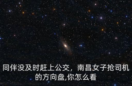 同伴沒及時趕上公交，南昌女子搶司機的方向盤,你怎么看