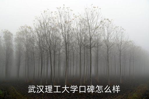 武漢理工徐進波教授怎么樣,武漢理工與南京理工怎么選