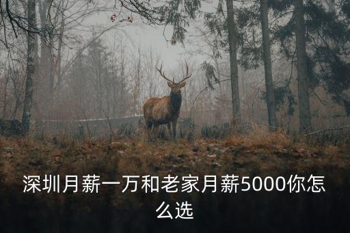 深圳月薪一萬(wàn)和老家月薪5000你怎么選
