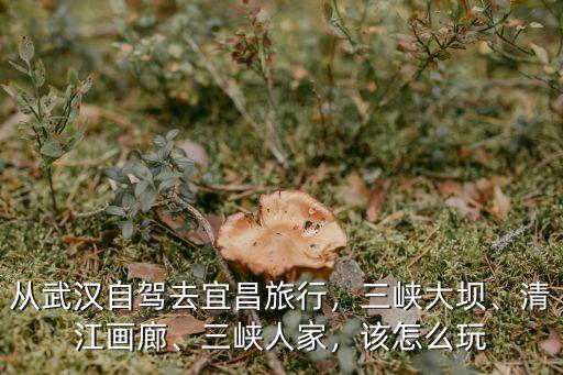 從武漢自駕去宜昌旅行，三峽大壩、清江畫廊、三峽人家，該怎么玩