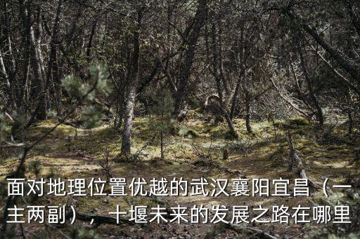 湖北的多極發(fā)展怎么樣,隨州的經(jīng)濟(jì)發(fā)展怎么樣
