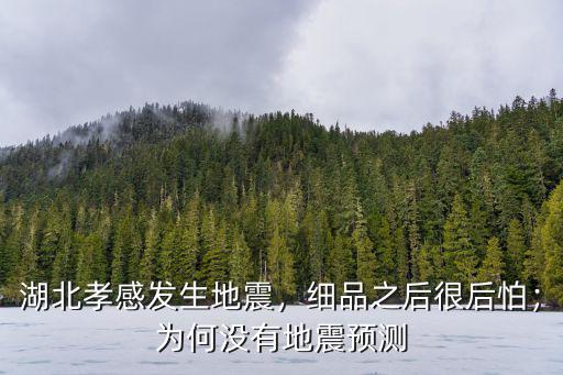 孝感地震怎么引起的,孝感的地震之后