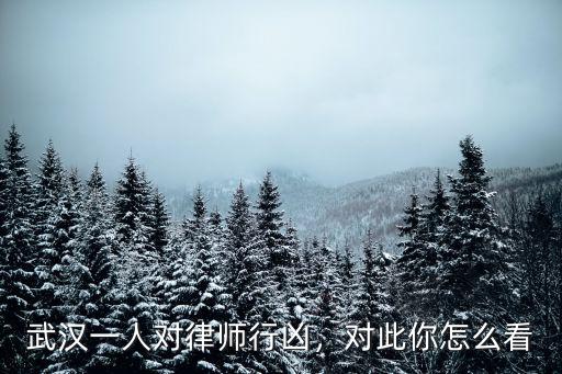 武漢一人對律師行兇，對此你怎么看
