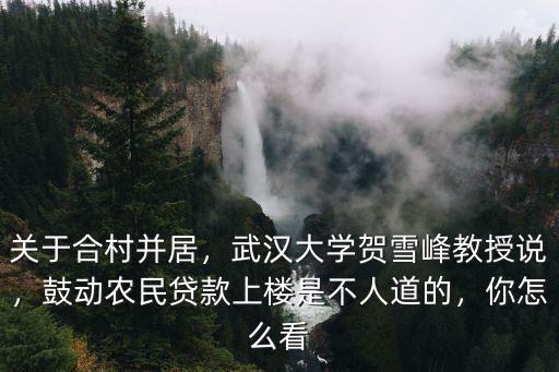 關于合村并居，武漢大學賀雪峰教授說，鼓動農民貸款上樓是不人道的，你怎么看