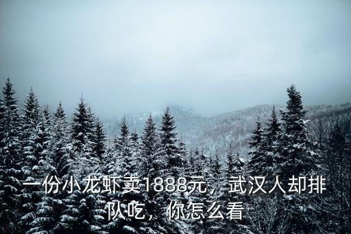一份小龍蝦賣1888元，武漢人卻排隊(duì)吃，你怎么看