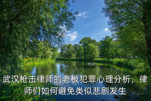 武漢槍擊律師的老板犯罪心理分析，律師們如何避免類似悲劇發生