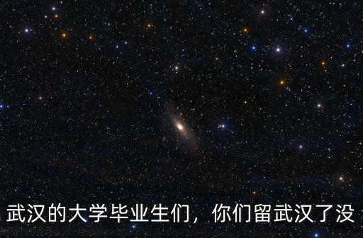 武漢的大學畢業生們，你們留武漢了沒