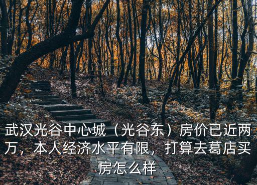 武漢光谷賣房子工作怎么樣,在武漢光谷附近買房子怎么樣