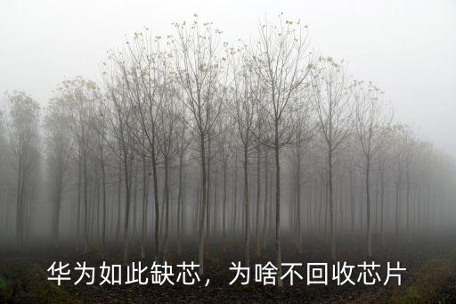 華為如此缺芯，為啥不回收芯片