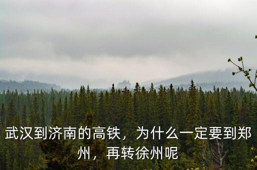 武漢到濟南的高鐵，為什么一定要到鄭州，再轉徐州呢