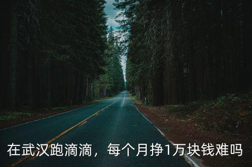 在武漢跑滴滴，每個月掙1萬塊錢難嗎