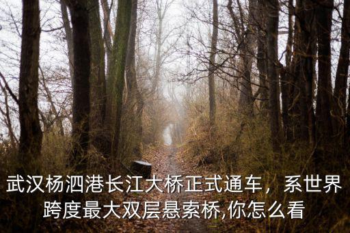 武漢楊泗港長江大橋是怎么合攏的,武漢楊泗港長江大橋正式通車