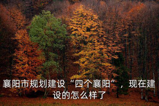 襄陽臨空經濟區怎么規劃,襄陽規劃的臨空產業園在哪里