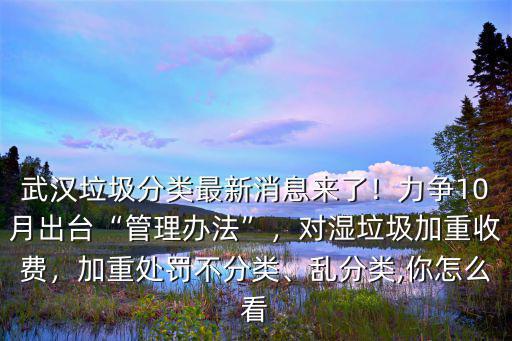 武漢垃圾分類最新消息來了！力爭10月出臺(tái)“管理辦法”，對濕垃圾加重收費(fèi)，加重處罰不分類、亂分類,你怎么看