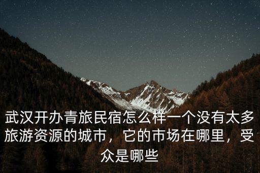 武漢開辦青旅民宿怎么樣一個沒有太多旅游資源的城市，它的市場在哪里，受眾是哪些