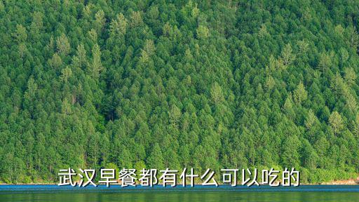 武漢早餐都有什么可以吃的