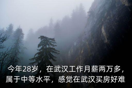 兩個(gè)人在武漢收入2萬(wàn)怎么買房,如何在武漢買房