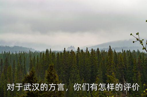 對于武漢的方言，你們有怎樣的評價