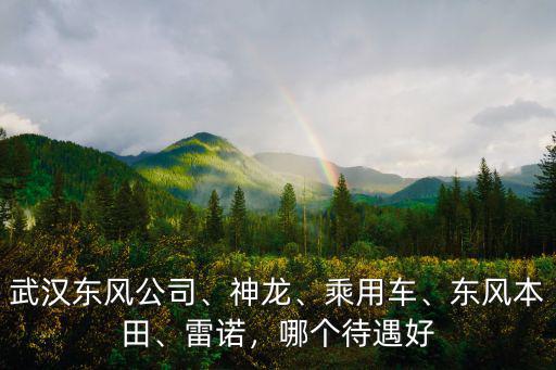 武漢天喻教育待遇怎么樣,武漢小米公司待遇怎么樣