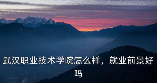 武漢市第一技術(shù)學(xué)校怎么樣,武漢職業(yè)技術(shù)學(xué)院怎么樣