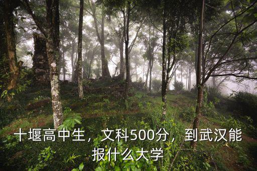 十堰高中生，文科500分，到武漢能報什么大學