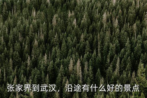 張家界到武漢，沿途有什么好的景點(diǎn)