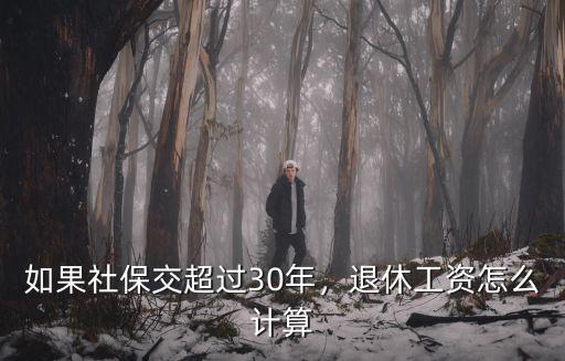 如果社保交超過30年，退休工資怎么計算