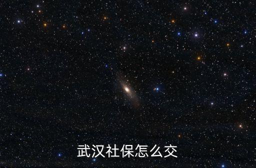 武漢社保個人怎么交納,武漢社保怎么交