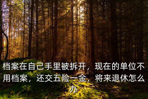 襄陽檔案在個人手中怎么辦退休,下崗職工檔案在個人手里