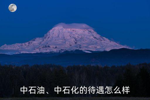 中石油、中石化的待遇怎么樣