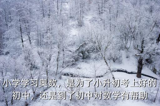 小學學習奧數，是為了小升初考上好的初中，還是到了初中對數學有幫助