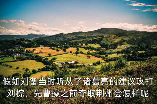 假如劉備當時聽從了諸葛亮的建議攻打劉棕，先曹操之前奪取荊州會怎樣呢