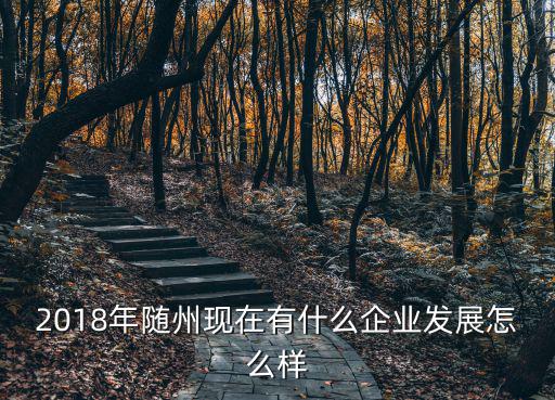 2018年隨州現(xiàn)在有什么企業(yè)發(fā)展怎么樣