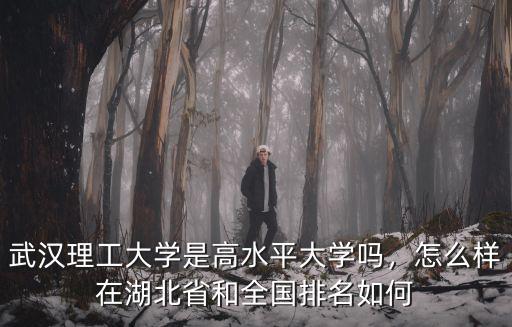 武漢理工大學怎么樣才能開心,武漢理工大學口碑怎么樣