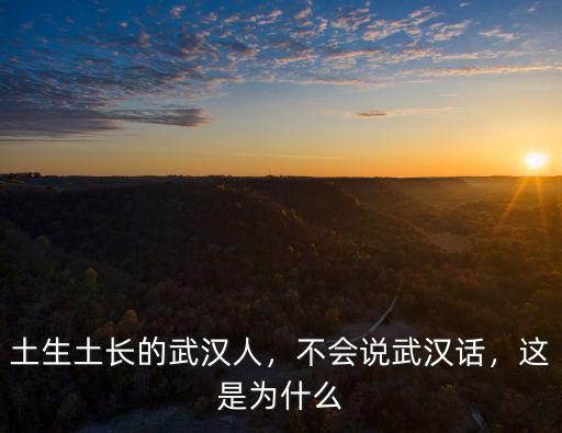 土生土長的武漢人，不會說武漢話，這是為什么