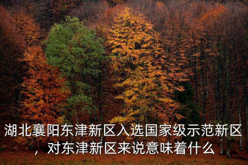 湖北襄陽東津地塊怎么樣,東津地塊怎么樣