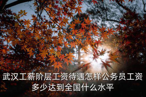 武漢工薪階層工資待遇怎樣公務員工資多少達到全國什么水平