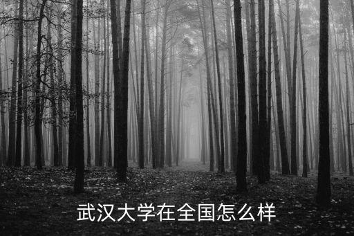 武漢大學在全國怎么樣