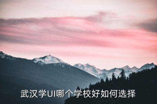 武漢學UI哪個學校好如何選擇