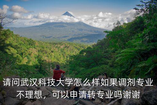 武漢科技大學的會計專業怎么樣,請問武漢科技大學怎么樣