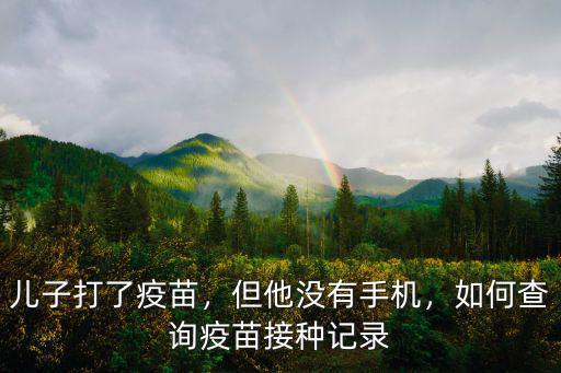 武漢怎么查打疫苗記錄,如何查詢疫苗接種記錄