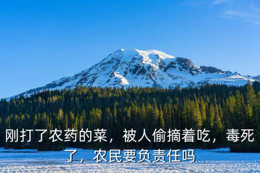 剛打了農(nóng)藥的菜，被人偷摘著吃，毒死了，農(nóng)民要負責任嗎