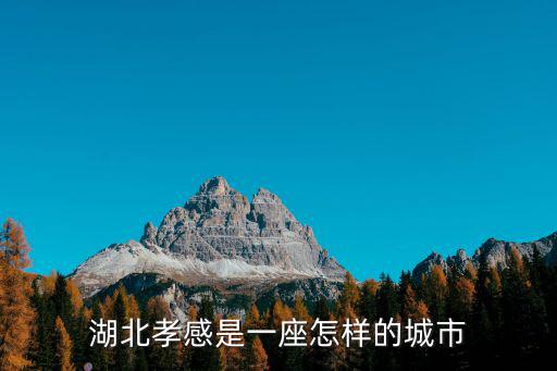孝感萊特怎么樣,孝感這座城市未來(lái)發(fā)展怎么樣